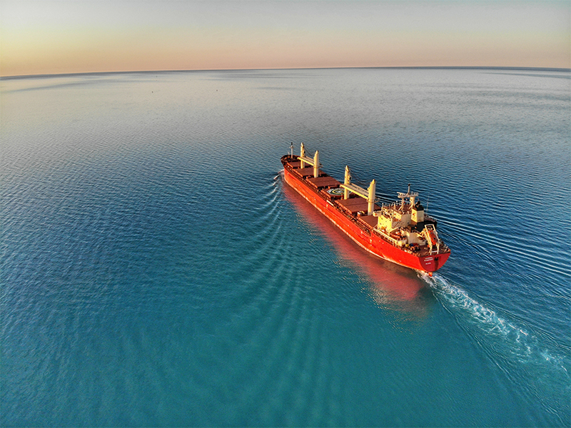 The Oceanic Lifeline: Understanding the Significance of Global Ocean Freight