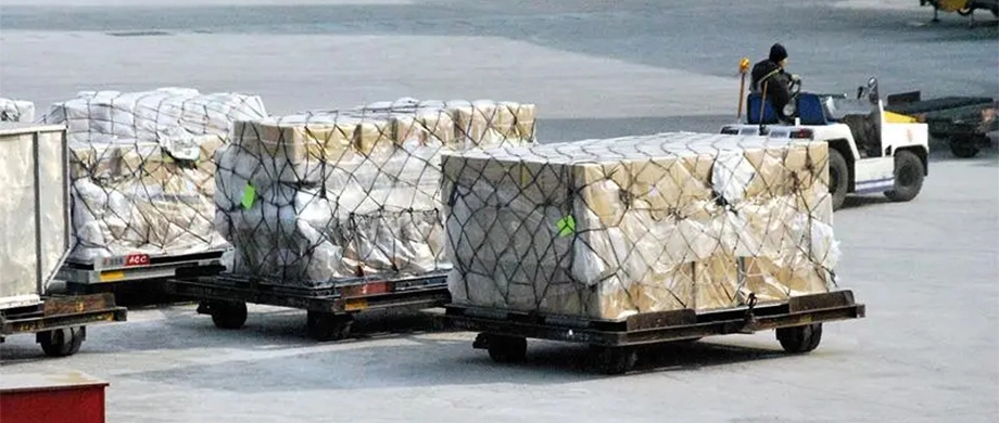 Warehouse Services For Shipping From China To New Zealand