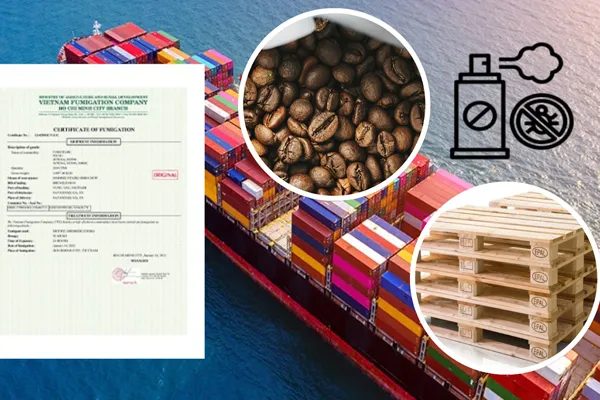 What Is a Fumigation Certificate?